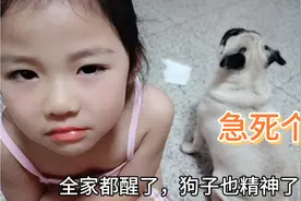 四岁妮妮半夜突然呕吐不止，把全家都吓坏了，又一个不眠的夜晚视频封面