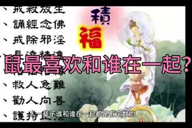 生肖鼠最喜欢和谁在一起？视频封面