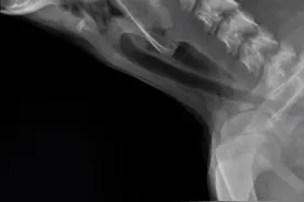 宠物医学科普，快进来围观吧！