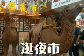 甘肃敦煌沙洲夜市，最繁华的美食街视频封面