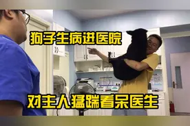 养了8年的毛孩子尾巴长了个瘤子 去医院看病始终不配合 看呆医生视频封面