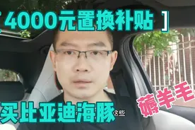 买比亚迪海豚如何拿到4000元的置换补贴，新能源置换补贴全流程视频封面