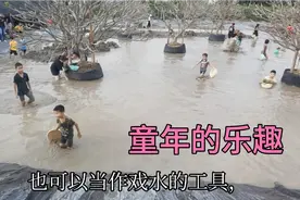 好多小孩在泥巴水捉泥鳅。。在浑浊的稀泥戏水，就是农村孩子童年视频封面