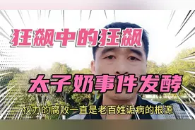 狂飙中的狂飙，湖南太子奶事件引发的思考。视频封面