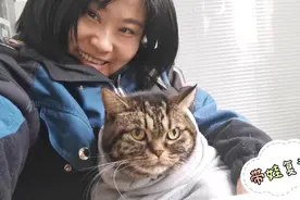 独自生活的七零后，养了十年的猫，它们给我家人一样陪伴视频封面