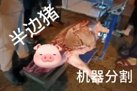 做猪肉批发，其实就是三步工，我们很轻松就卖掉几头猪肉！