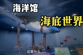 海底世界的鱼种类繁多，您认识多少