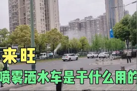 小狗旺旺旺，喷雾洒水车呼呼呼，生活依然美好视频封面