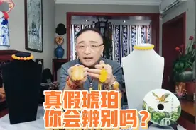 鹰雄教你辨别真假琥珀的五点小知识视频封面
