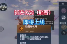 新进化宠，进化丹配方和伤害测试（提前预知）。