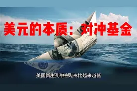 美元的本质：对冲基金视频封面