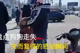 盘点狗狗失而复得的感动瞬间，丢失半年的狗狗见到主人瞬间大哭视频封面