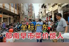 实拍广东郁南早市菜价，农村老人自种菜，老人遇上民间草药推销视频封面