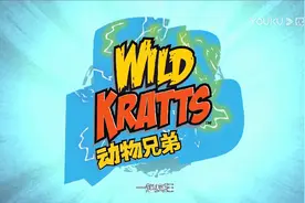没有VIP的请看，动物兄弟第一季第三集视频封面