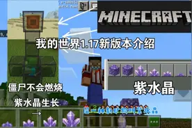 我的世界1.17新版本介绍-紫水晶