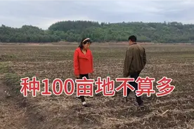 胖媳妇远嫁黑龙江老农村，种100亩旱田地不算多，地块分的太零散视频封面