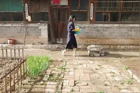 46岁，隐居山里，夜晚的老房子，一个人住着害怕吗视频封面