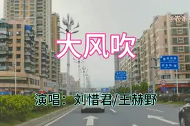 刘惜君/王赫野一首抖音神曲《大风吹》，欢快歌声，洗脑停不下来视频封面