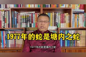 十二生肖详解：1977年出生的属蛇人是什么样的人？视频封面