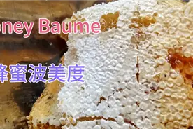 波美度40.5、含糖量76、含水量23，我挑选蜂蜜标准之一视频封面
