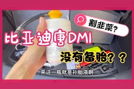 比亚迪唐Dmi没有备胎属于割韭菜行为？真实车主研究后的分享来了视频封面