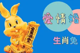 生肖兔的爱情婚姻，与谁在一起呢视频封面