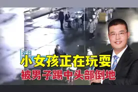 必须严惩！两名小女孩在玩耍，路过男子踢中女孩头部致其摔在水中视频封面