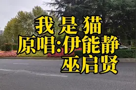 《我是猫》原唱:伊能静 巫启贤视频封面