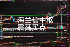 海兰信中枢震荡买点视频封面