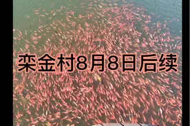 栾金村动迁8.8后续