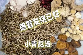 yang发烧感冒喉咙痒，咳嗽，伤寒论张仲景小青龙汤倪海厦老师讲解视频封面