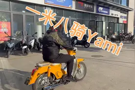 幼兽Yami竟是最安全车型？一米八壮汉骑着如何？