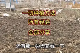 所有种菜方法和全部经验，今年都真诚分享，一定不要错过