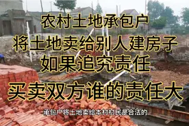 农村土地承包户将土地卖给别人建房，如果追究责任，谁的责任大？视频封面