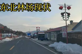真实东北林场春天啥样？大街上一个人都没有，都没几家烟筒冒烟的视频封面