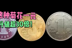菊花一元硬币中，这个年份价值最高！升值超30倍！你有吗？视频封面
