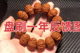 矮桩爆肉桃核盘刷一年效果图视频封面