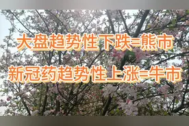 新冠药概念盐野义线的龙头个股注意要有龙头思维(北大医药)视频封面