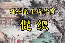《促织》作者，蒲松龄视频封面