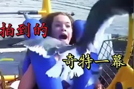 拍到的不可思议一幕 世界之大无奇不有 带你看世界奇闻异事视频封面