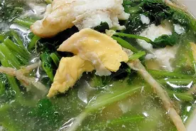 香菜这样做，好吃又养生，好处多多，三高的朋友们收藏了！视频封面