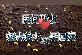 民间故事：姐夫送小姨子回家，连襟离奇死亡，县令：此事必有隐情视频封面