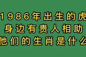 1986年出生的虎，身边有贵人相助，他们的生肖是什么呢，视频封面