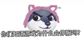 《游戏停服的原因》全体默哀3分钟😔视频封面