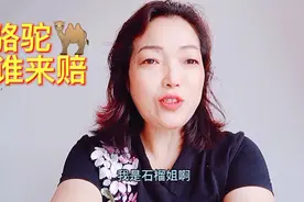 于月仙事件，骆驼谁来承担责任，这个问题可能大家都没有想到视频封面