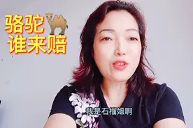 于月仙事件，骆驼谁来承担责任，这个问题可能大家都没有想到视频封面