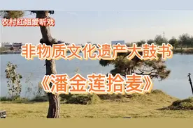 非常好听的河南大鼓书《潘金莲拾麦》真精彩，特逗，一起来听听吧