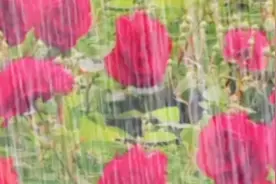 音乐分享《打火机》，希望友友们喜欢！