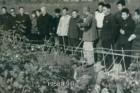 四城角逐安徽省会，毛主席为皖之中一锤定音的否决，合肥胜出！视频封面