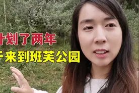 从美国到加拿大班芙，加拿大人开车守规矩，我当免费司机老公不满视频封面